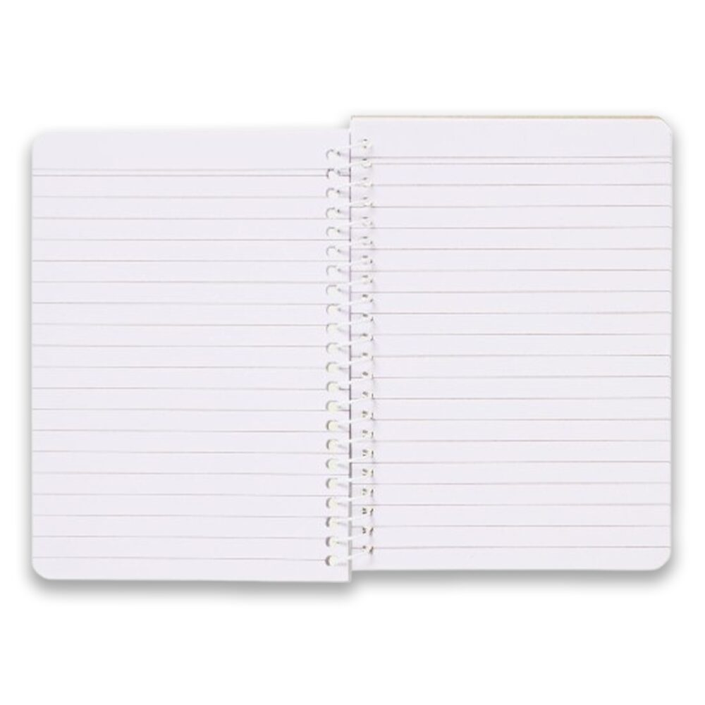 NOTEBOOKA6 open