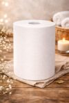 Scott Roll Hand Towel, 100 Metres/Roll, 12 Rolls/Case (4419)