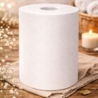 Scott Roll Hand Towel, 100 Metres/Roll, 12 Rolls/Case (4419)
