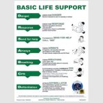AEROGUIDE CPR Wall Chart