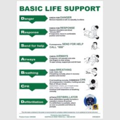 AEROGUIDE CPR Wall Chart