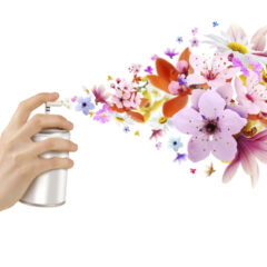 Air Fresheners