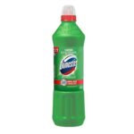 Domestos Bleach 1.25L Mt Fresh