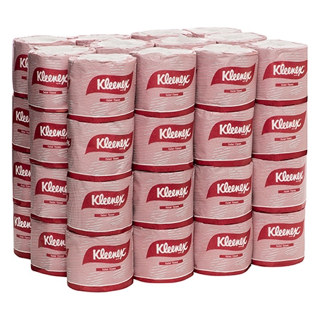 Toilet Paper Rolls - 400 sheets( 48 rolls/CTN)