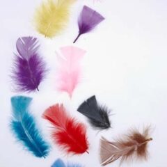 Tropical Craft Feather