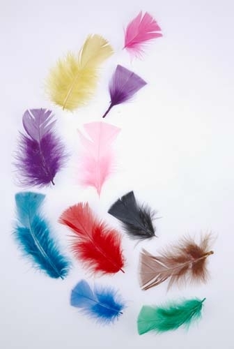 Tropical Craft Feather